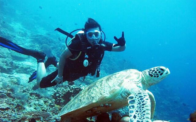 2023年青海省经济运行情况发布 经济发展稳中有进 高质量发展稳步提升 2023年青海省GDP达3799.1亿元，比上年增长5.3%